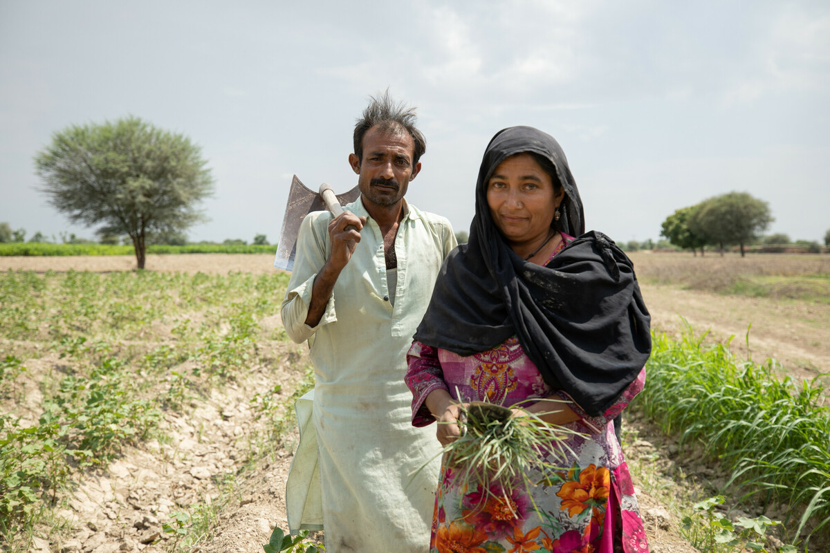 Guddi and her husband working as farmers in their village in Sindh, Pakistan.