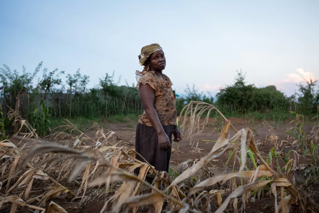 Shaud stands in a field devastated by the cyclone.