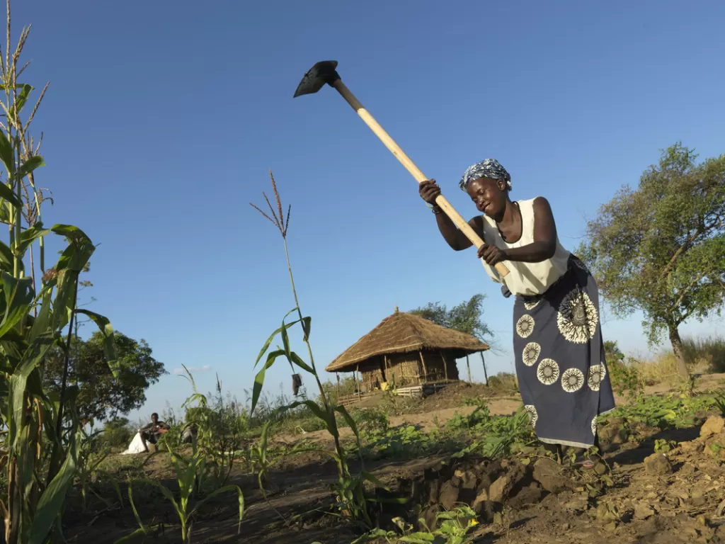 Luisa uses tools received from CAFOD to prepare her field for replanting. She spent four days in the treetops when floodwaters swept away her village.