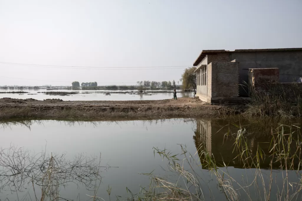 Stagnant flood water, Sindh, Novemeber 2022