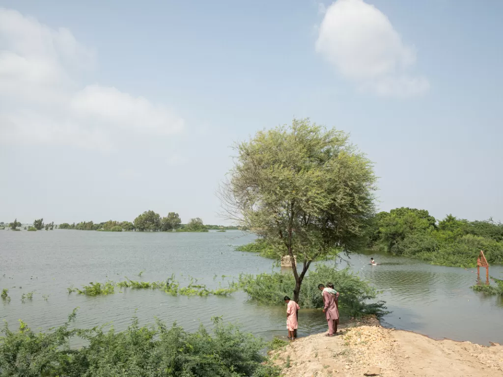 Submerged fields of crops in Sindh. Photo: Insiya Syed/DEC