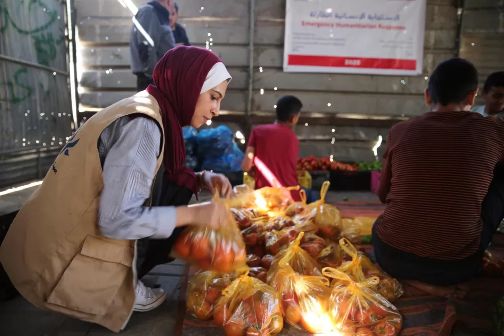 Woman in headscarf packs tomatoes into bags during humanitarian aid distribution