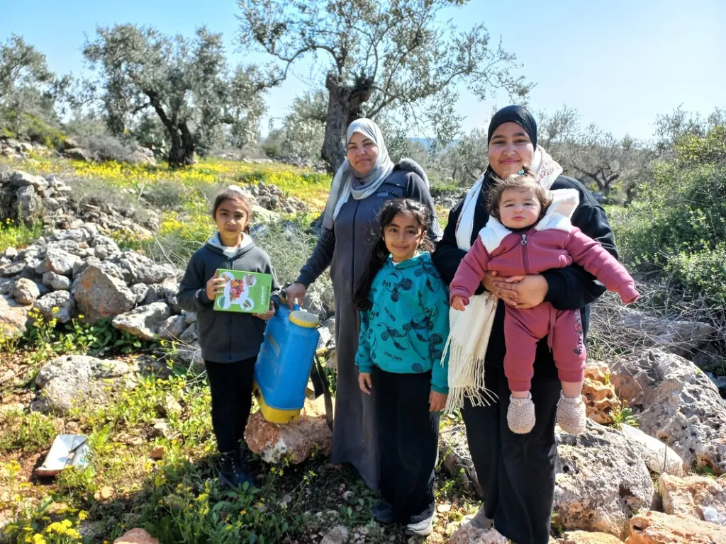 West Bank olive farming