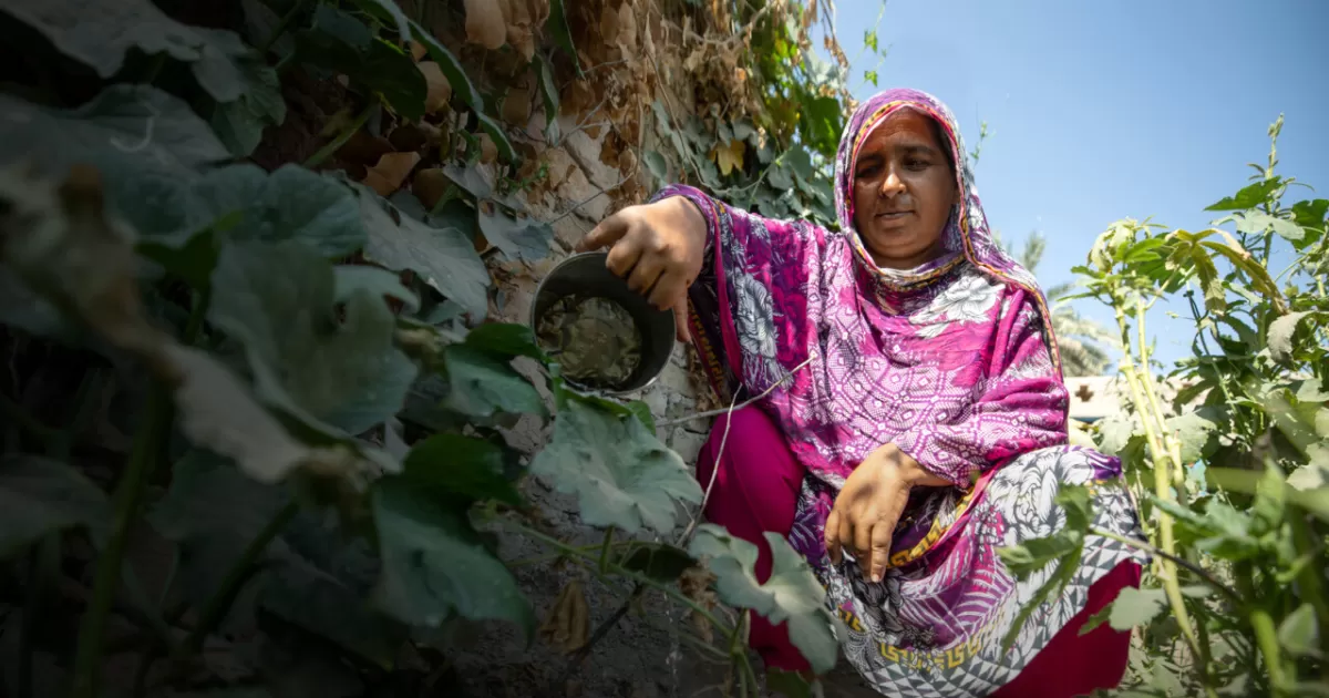 Pakistan Floods Appeal | Reporting back | DEC